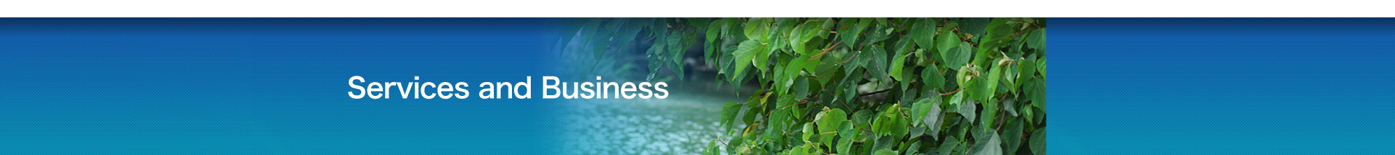 Services and Business